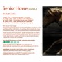senior horse gold - hilton herbs