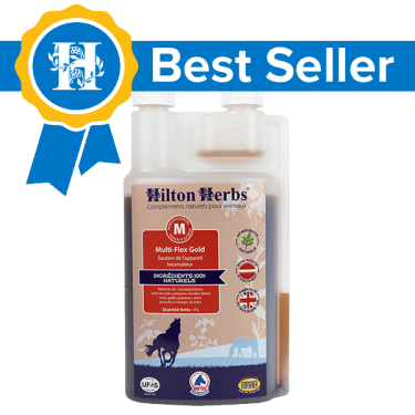 Multiflex Gold - hilton herbs