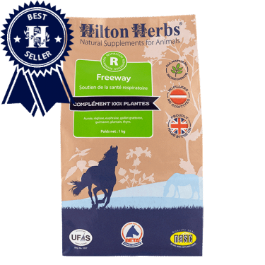 Freeway - hilton herbs