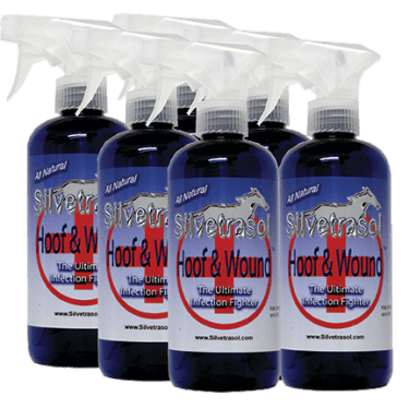 Lot de 6 silvetrassol Hoof & Wound Wash - KC LAPIERRE